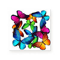 Декоративная стеклянная Плитка 3D для стен и пола Colored Butterflies (Разноцветные бабочки) 330