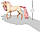 Іграшка-фігурка рожевий єдиноріг Schleich 70573, фото 3