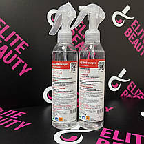 Антисептик АХД 2000 експрес 250 мл, фото 2