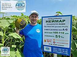 Насіння соняшнику Неймар 43ц / га. Гібрид під гранстар Неймар. Стійкий до семи рас вовчка A-G. 1 п.о. / 150 тис.шт. Сертификоване насіння.