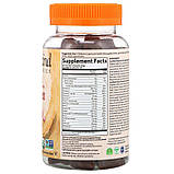 Garden of Life, MyKind Organics, Kids Multi, дитячі мультивітаміни зі смаком органічних фруктів, 120мармеладних ведмедмедиків, фото 2