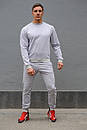 Спортивний сірий трикотажний костюм без написів і малюнків, фото 2