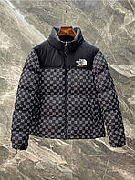 Мужской стильный пуховик (The North Face and gucci) The North Face / - 20 / TNF