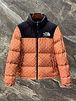 Мужской стильный пуховик (The North Face and gucci) The North Face / - 20 / TNF