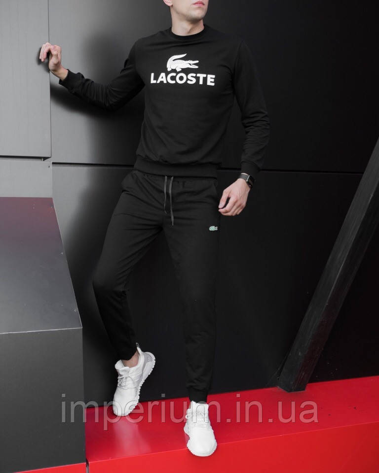 Спортивний стильний костюм Lacoste | логотип принт