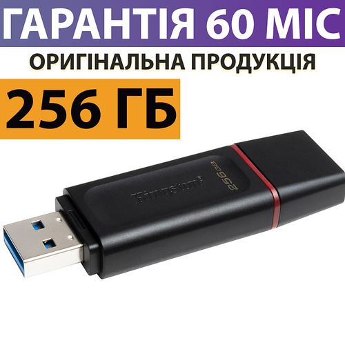 Купити Флешка 256 ГБ Kingston DataTraveler Exodia USB 3.2 Gen 1, usb ...