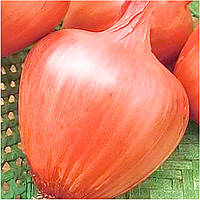 Лук севок Амфора 8/21 0.5 кг Top onions