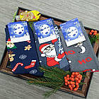 Шкарпетки чоловічі новорічні високі зимові з махрою р.41-45 малюнок асорті Style Luxe ( 1210) Україна 20034382, фото 4