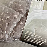 Ковдра на холлофайбері ОДА Двоспального розміру 175х210 Стьобана зимова ковдра високої якості, фото 4