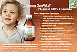 Сироп для дітей СанВітал Кідс натуральний Польща, фото 5