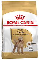 Корм для пуделя Royal Canin (Роял Канін) POODLE ADULT, 1,5 кг