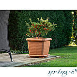 Горщик для квітів з піддоном Hisar 44 л антрацитовий, фото 3