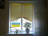 ЖАЛЮЗІ ГОЛОСОНТАЛЬНІ ЦВЕТНІ, фото 4