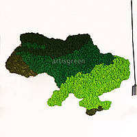 Карта України зі скандинавського декоративного моху. Незвичайний декор стіни з еко-матеріалу