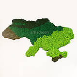 Карта України зі скандинавського декоративного моху. Незвичайний декор стіни з еко-матеріалу, фото 2
