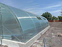 Теплиця Еко Топ 6х8 м Стандарт 10 мм, фото 9