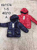 Куртки для хлопчиків утеплені оптом, розміри 1-5 років, S&D арт. KK-1174