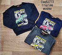 Кофта утепленна для хлопчиків оптом, Seagull, 116-146 рр., Арт. CSQ-52772, фото 5