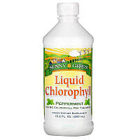 Жидкий хлорофилл, перечная мята,Sunny Green, 100 мг, 480 мл