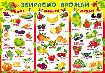 Плакат "Збираємо врожай" П-230