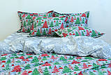 Комплект постільної білизни з компаньйоном R-T9132, фото 3