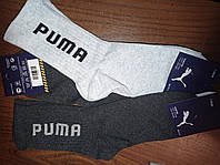 Носки высокие Puma р.36-40