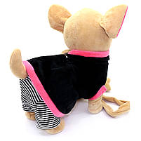 Інтерактивна м'яка іграшка «Музична собачка Чихуахуа на повідку» у светрику М 02081/3/4/5, фото 2