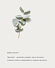 Крем для тіла Rituals THE RITUAL OF HAMMAM Body Cream 100 ml, фото 4
