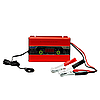 Зарядний пристрій для акумуляторів LiFePO4 12 V (14,6 V) Suoer ML-20B. Зарядка для літійферумних