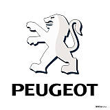 Килимки в салон Peugeot