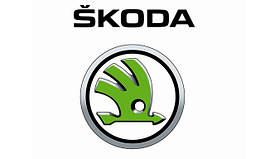 Коврики в салон Skoda