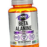 Бета-аланін NOW Foods Beta-Alanine 750 mg 120 капсул, фото 6