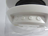 Колонка SPS E 304T+BT, фото 7