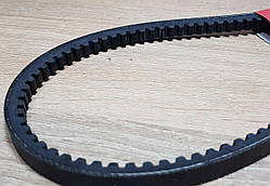 Ремінь AVX10x1030 приводу вентилятора Газель,  дв.402 (пр-во Truckman) зубч 10,7 x8x1030