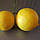 Лимон «Ванільний» (Citrus limon Vainiglia) 55-60 см. Кімнатний, фото 6