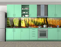 Наклейка на кухонный фартук 60 х 300 см, фотопечать с защитной ламинацией Солнечный лес (БП-s_pr031)