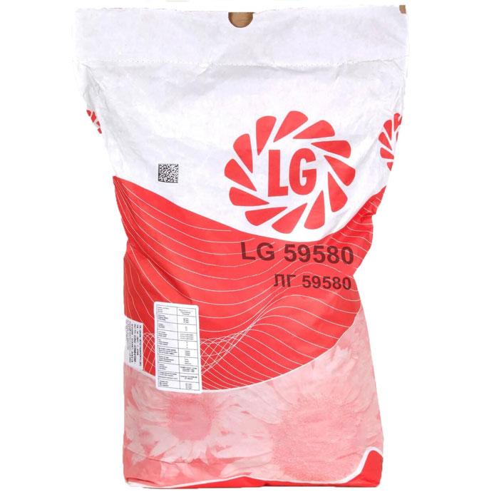 Соняшник LG 59580 K Limagrain, насіння соняшнику під Гранстар, соняшник ЛГ 59580 Лімагрейн