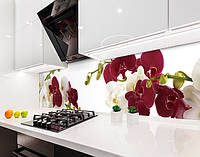 Наклейка на кухонный фартук 60 х 300 см, фотопечать с защитной ламинацией Орхидеи на ветке (БП-s_fl11730-3)