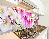 Наклейка на кухонный фартук 60 х 200 см, фотопечать с защитной ламинацией Орхидеи бело-розовые (БП-s_fl087)