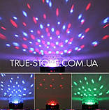Світлодіодний лазерний проектор, зелений червоний синій колір, 220В+USB, IP40, фото 2