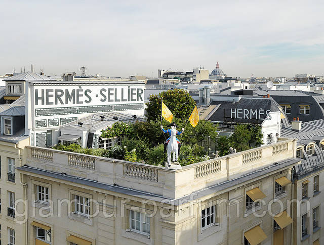 Унисекс парфюм Hermes Un Jardin sur le Toit (Гермес Ун Жардин сур ле Тоит) - фото 3 - id-p14552081