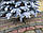 Елка пышная литая заснеженная Элитная 2,10 м. Искусственные елки литые заснеженные Элитные и Премиум 210 см, фото 7
