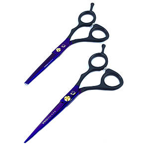 Набір перукарських ножиць PROline 5,5" PL255 Violet (3 клас)
