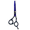 Набір перукарських ножиць PROline 5,5" PL255 Violet (3 клас), фото 3