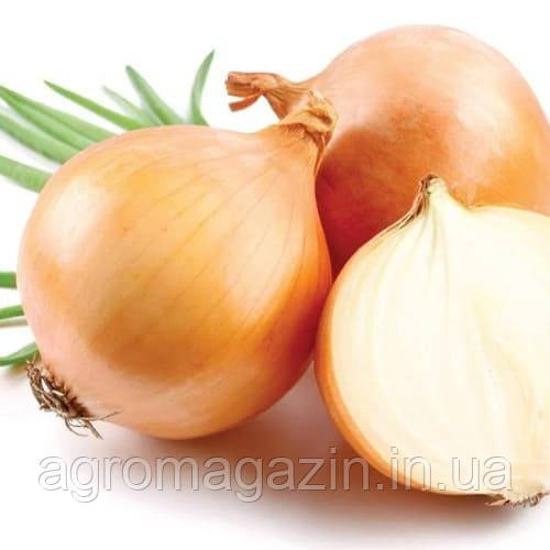 Цибуля Отаман F1 (250000нас.)