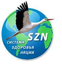 СИСТЕМА ЗДОРОВ'Я НАЦІЙ (СЗН) в Україні.