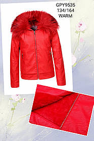 Кожзам куртки на хутрі для дівчаток оптом, Glo-story, 134-164 рр., арт. GPY-9535