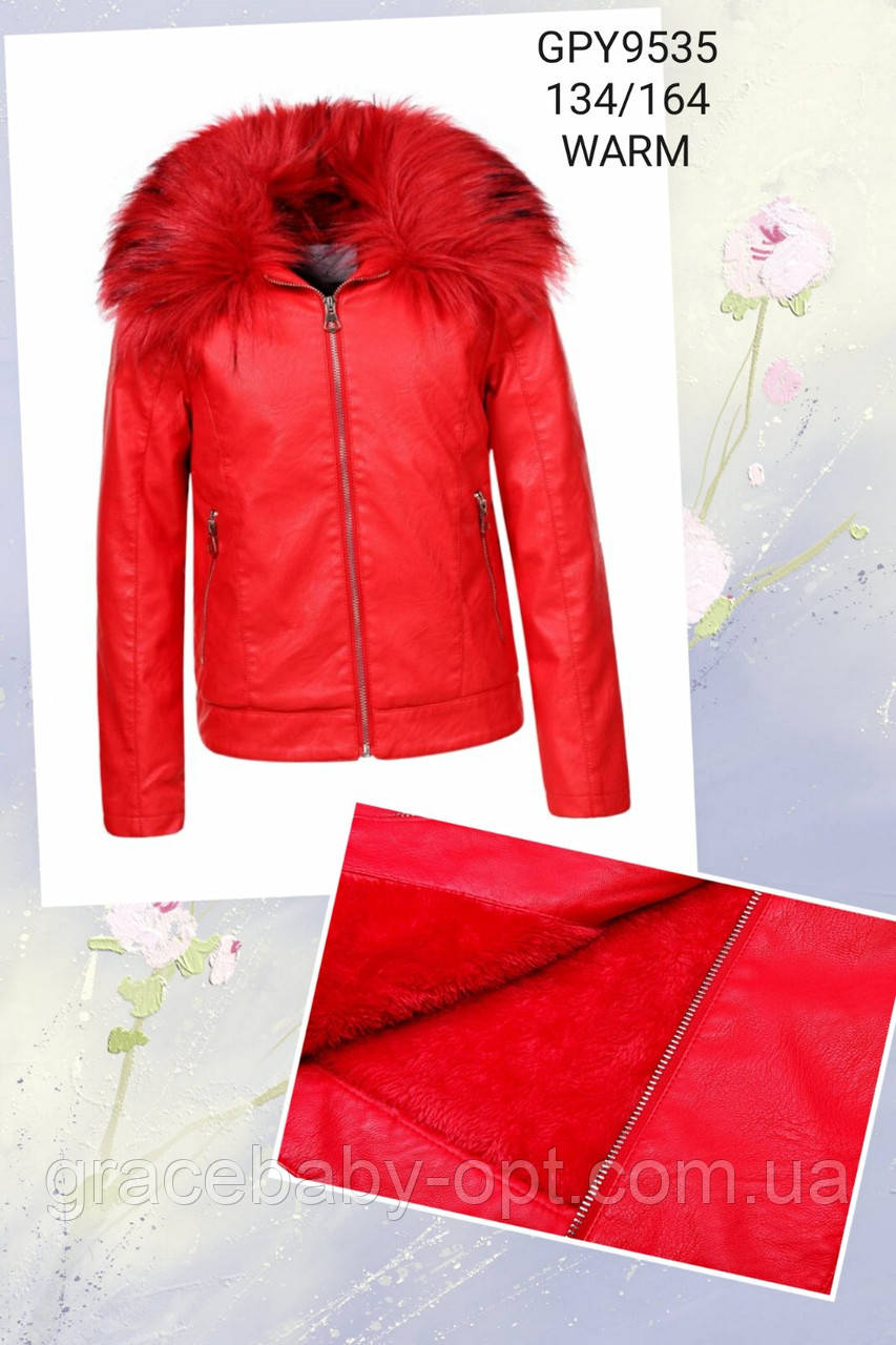 Куртка кожзам утеплена для дівчат оптом, Glo-Story, 134-164 см, № GPY-9535, фото 1