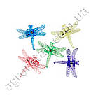 Затискач Метелик для орхідей Алеана, фото 4