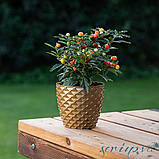 Горщик для квітів Kapadokya 1,4 л золотий, фото 5